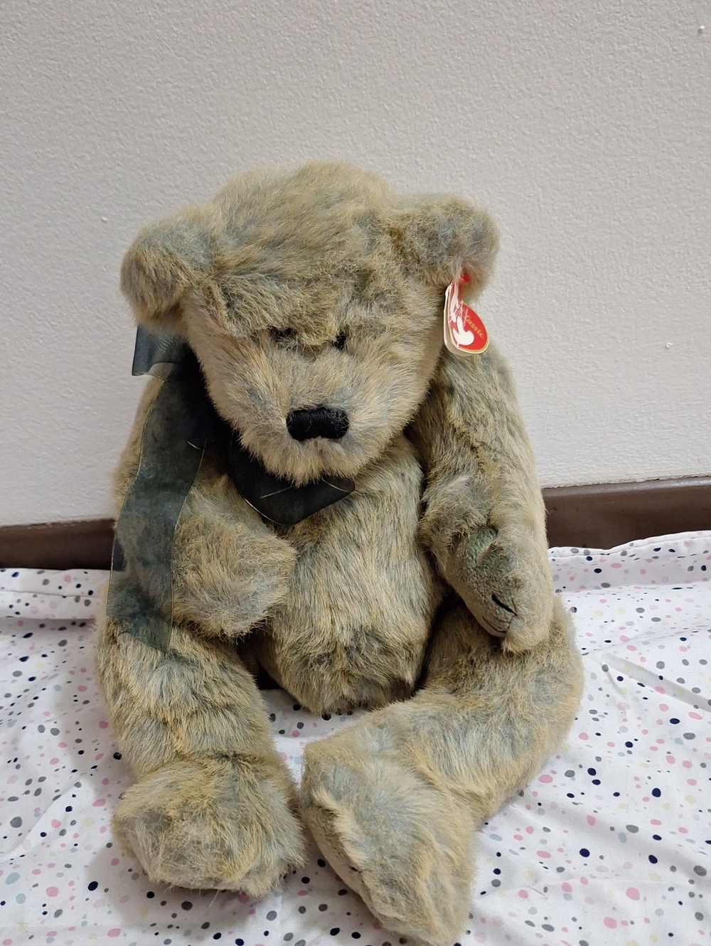 BELVEDERE Ty Bear Buddy